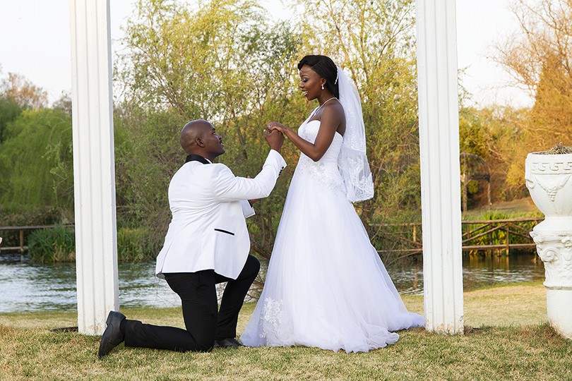 Reboane and Tshego