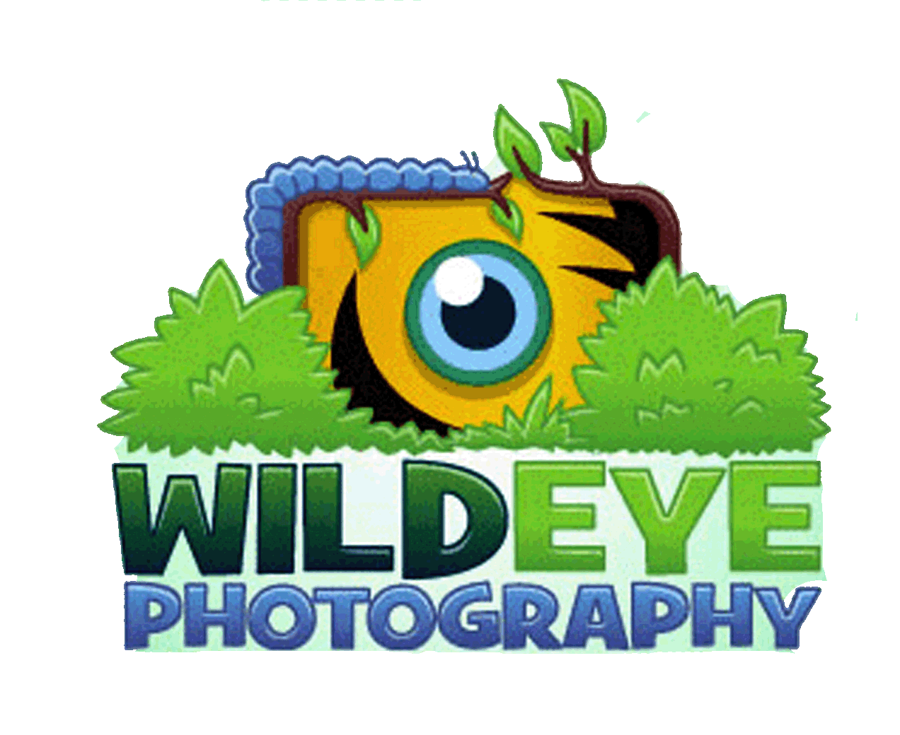 Wildeye Photography
